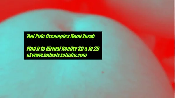 Preview from Tad Pole Creampies Numi Zarah
