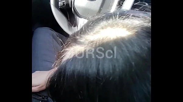 Car blowjob