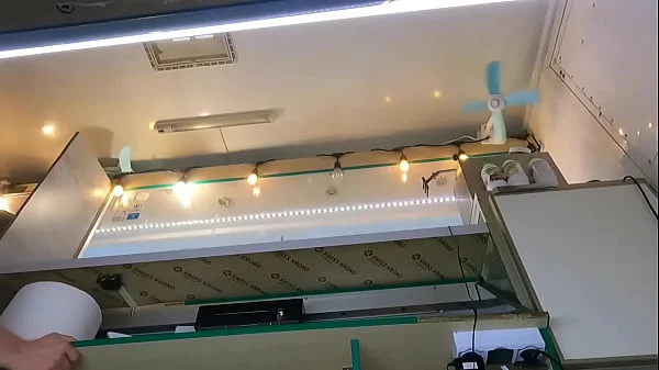 The boss is playing with his sexy shop assistant pussy while she talks to the customer