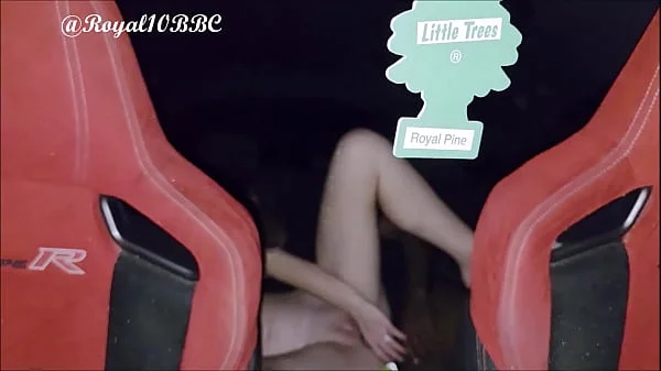 smashing some pussy in my car