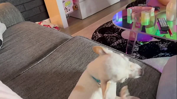 Casting Curvy: Playing Just The Tip With My GF's Hot Teen Sister