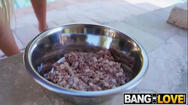 Diamond Kitty, Valentina Jewels In Little Doggie