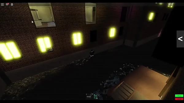 a. WIFE AND ROBLOX SEX