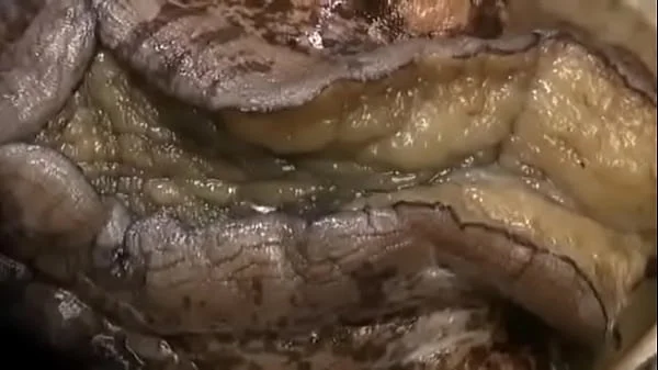 mom becomes my sex slave - Dirtyjav.com