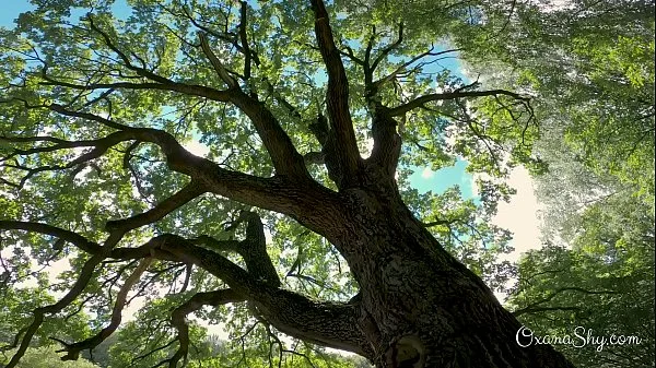 Buttpluged slut in a nature park