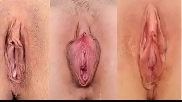 What Kind Of Pussy Do You Prefer?