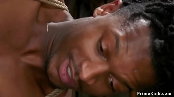 Busty dom bbw anal fucks black slave