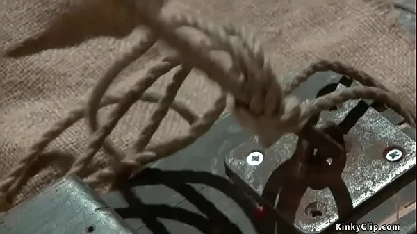 Busty bound guard anal fucked