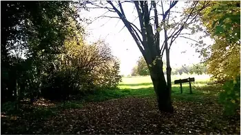 Park Fun Fucking And Sucking Cock