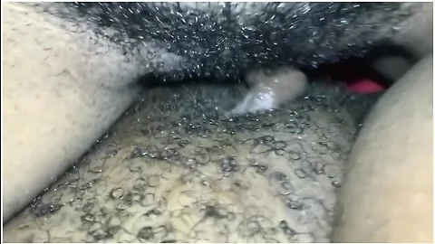 Ebony Lesbians Tribbing