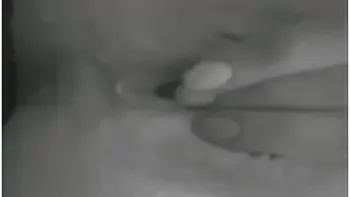 And Squirt! Pornohub