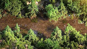 The Genesis Order - Playthrough Postgame With Car Toon