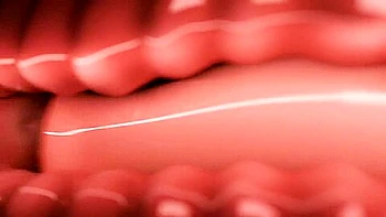 Critterfun In The Woods