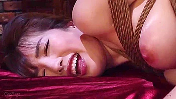 Cmc-322 Cinemagic Catalog Dvd 2023-2024