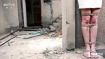 BDTV6 - Meteor hide and seek