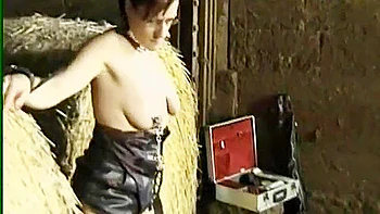 Germany Private Punishment At The Farmyard