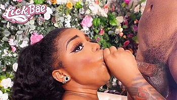 Lickbae Girl Gives Sloppy Blowjob & Tittyfuck