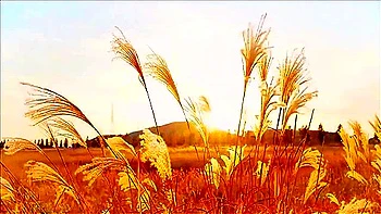 Lee Ah-in-ii And So Ra Three Stepsisters 2022 Korean