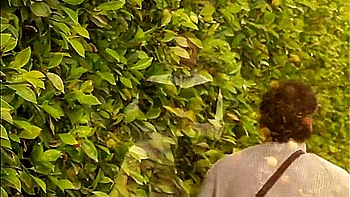 Magnificent And Lou Lous Big Cock Video With Loulou Petite And Christine Love