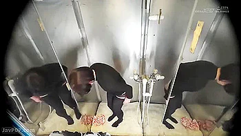 20241206女子大生がエロツイスターa4