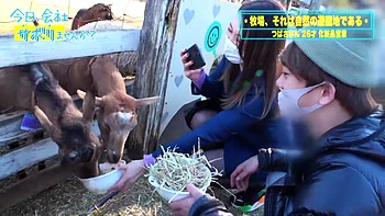 0011108_ボイン 美女 黒ストッキングなどが含まれている