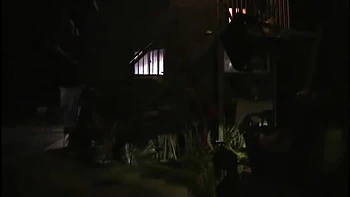 ZNB196-NREEFFBFVS931026900