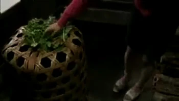 06528,Woman writhing in lewd play