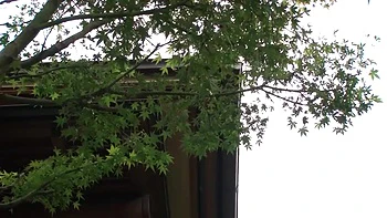 ALIJHOMOGGJNCKMLRY42NSFS373