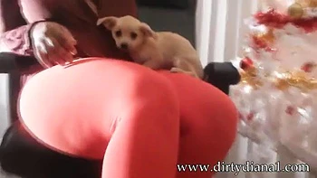 DD Holiday Booty ft. Dirty Diana: Blowjob, Doggy  Amateur Porn