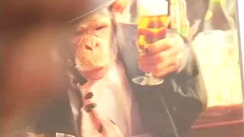 Hot girls moaning and cumming, giving their pussy and very tasty spit: Porn