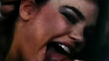 Stacey Donovan  Golden Girls and Seductress Films 1984  Compilation ft. Tom Byron, Greg Rome, Craig Roberts  Marc Wallice: Porn