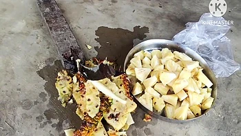 Desi Bhabhi Fal Katate Hue Bahut Mast Dikhti Hai