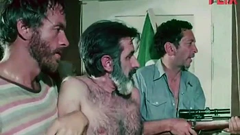 The Farmers Stepdaughters (1976)