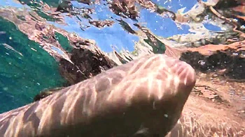 Fuck Golden Shower Piss Rimming Facial In Murky Water