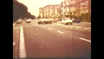 Vulgar Capricious Pig