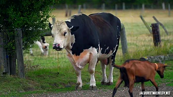 The very realistic dream of the superb Camila! - Jacquie et Michel TV