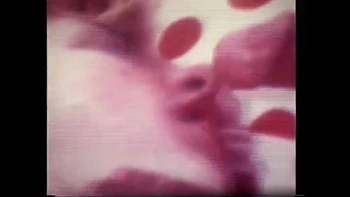 Tasty And Seductive Clitoris