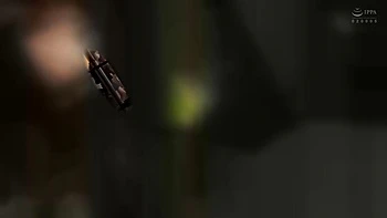 0012325_陵辱 側位 無理やりなどが含まれている