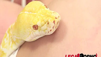 Nikita Belucci 3 on 1 Porno SZ34