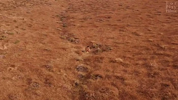 The Great Outdoors Feat Astrodomina