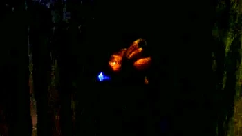 Magdalenas ride in the bathroom Anal Blonde Blowjob Cumshot