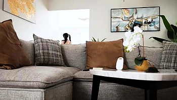 MyBabysittersClub Kitty Cam WRB