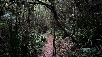 Public Forest Walk, Masturbating and Naked on Webcam