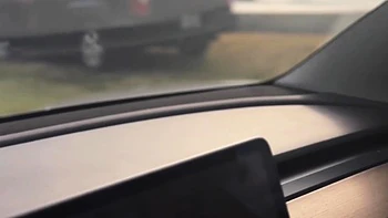 Jewelz Blu Is A WILD Woman When You Bring Her Outdoors