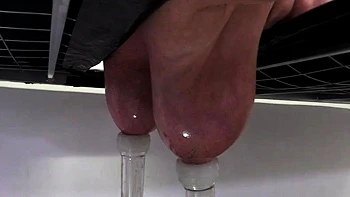 HuCows Manuela On The Milking Bed