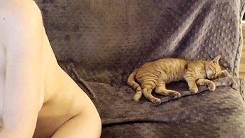 Big Boobs Cam Sex Toys more