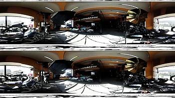 Bravo Models - 360 action