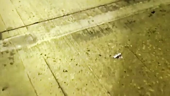 Cock sucking movie with stunning Chloe Temple from Mr Lucky Life