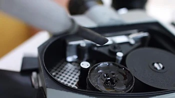 Sweet Sexy Teens 19 y.o - Luna Umberley