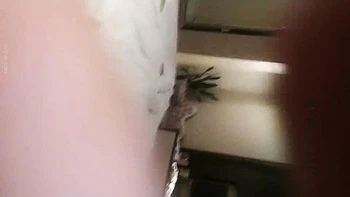 3K starting appointment peripheral female public account: Lexiang Business -A girl in the fireplace takes a selfie with a wad of money in a thong and rubs it on her: Blowjob, Doggy  Cowgirl Porn